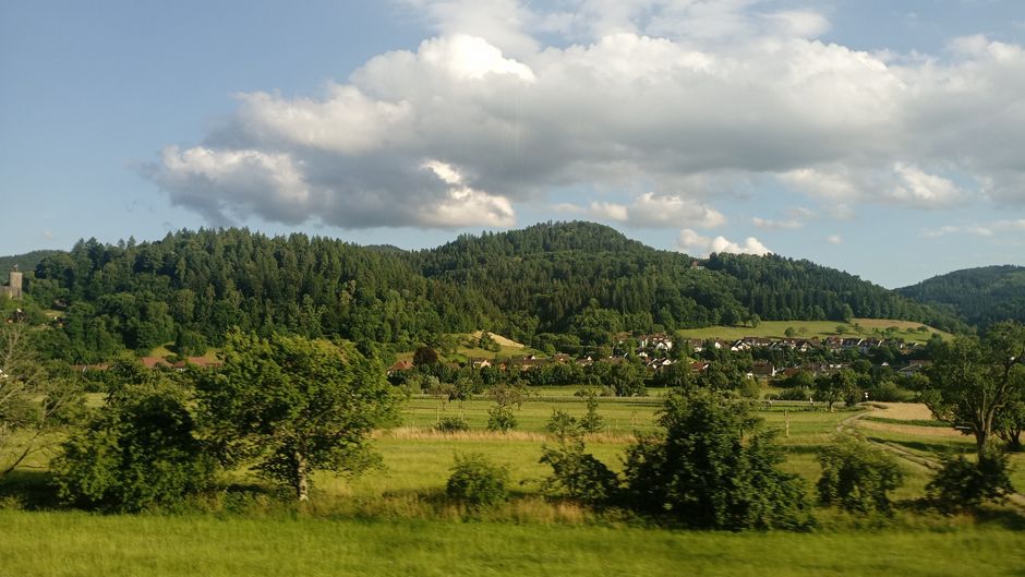Idyllic summer landscape of the Black Forest in Germany with rolling hills and vibrant greenery.